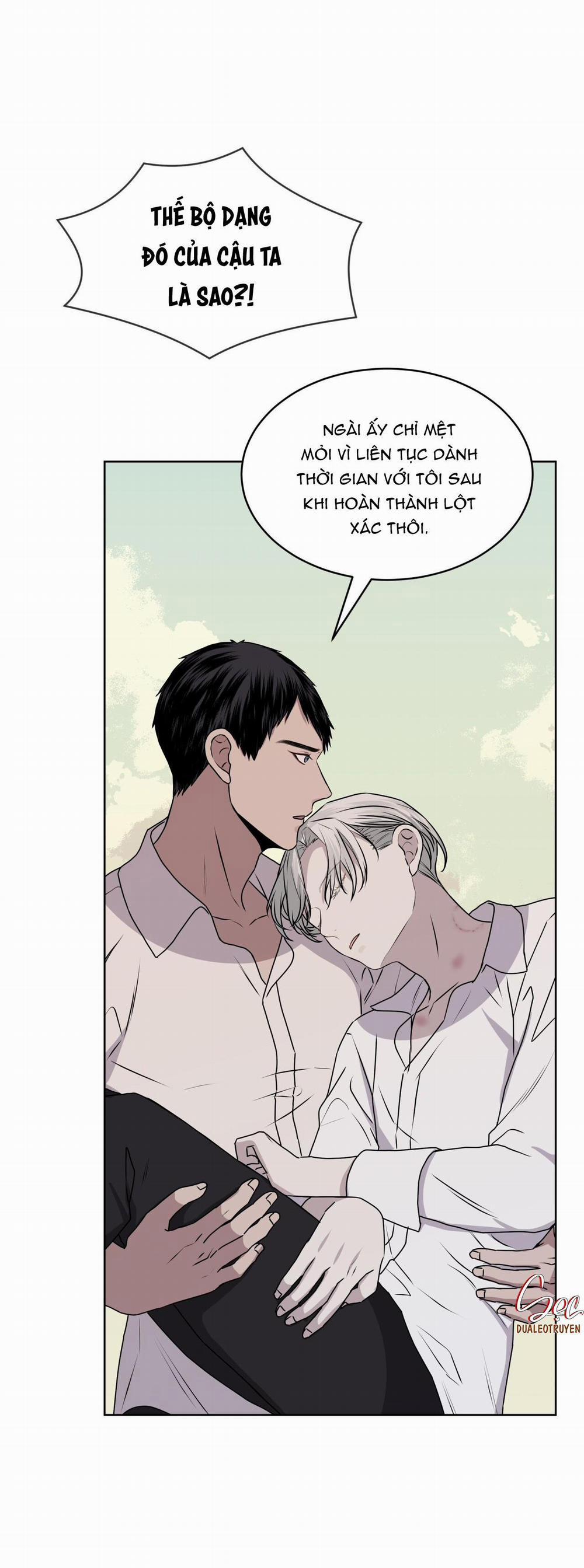 Rừng Biển 43 trang 16