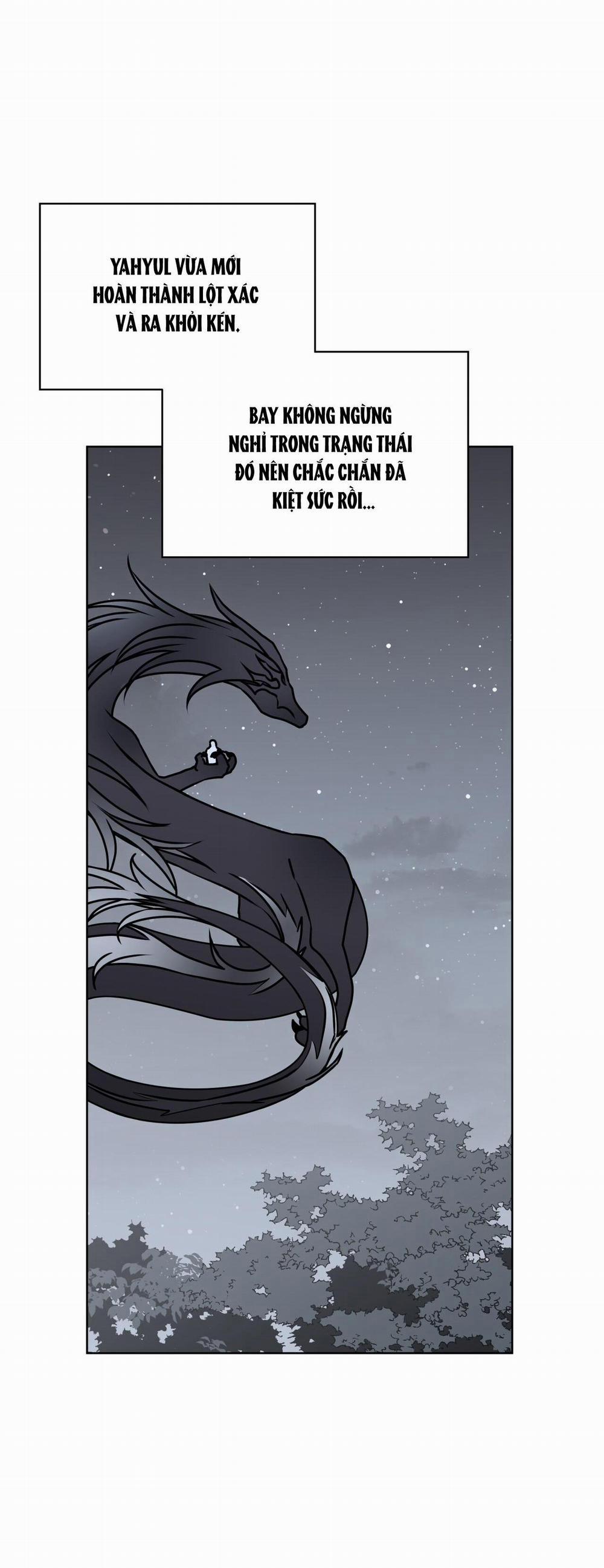 Rừng Biển 45 trang 5