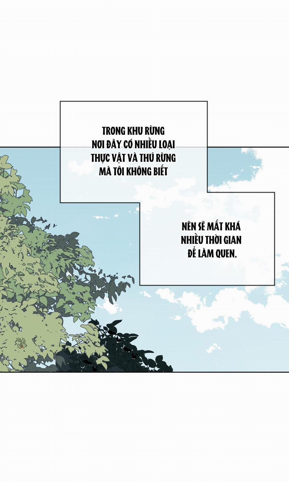 Rừng Biển 50 trang 6