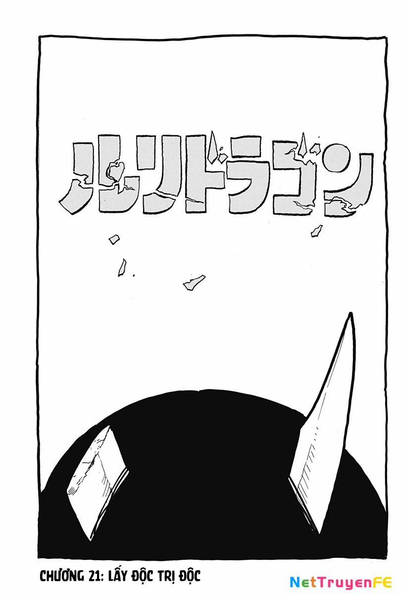 Ruri Dragon 21 trang 1