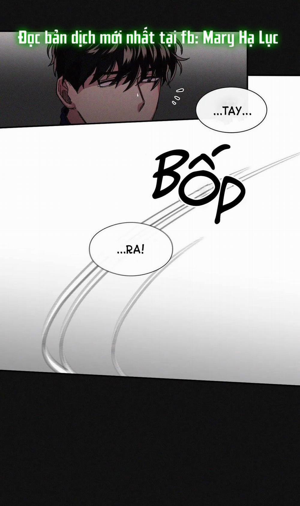 S_Flower 38.2 trang 13