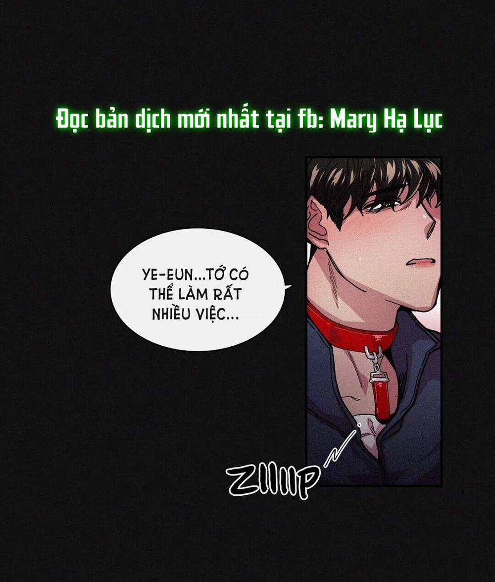 S_Flower 39.1 trang 0