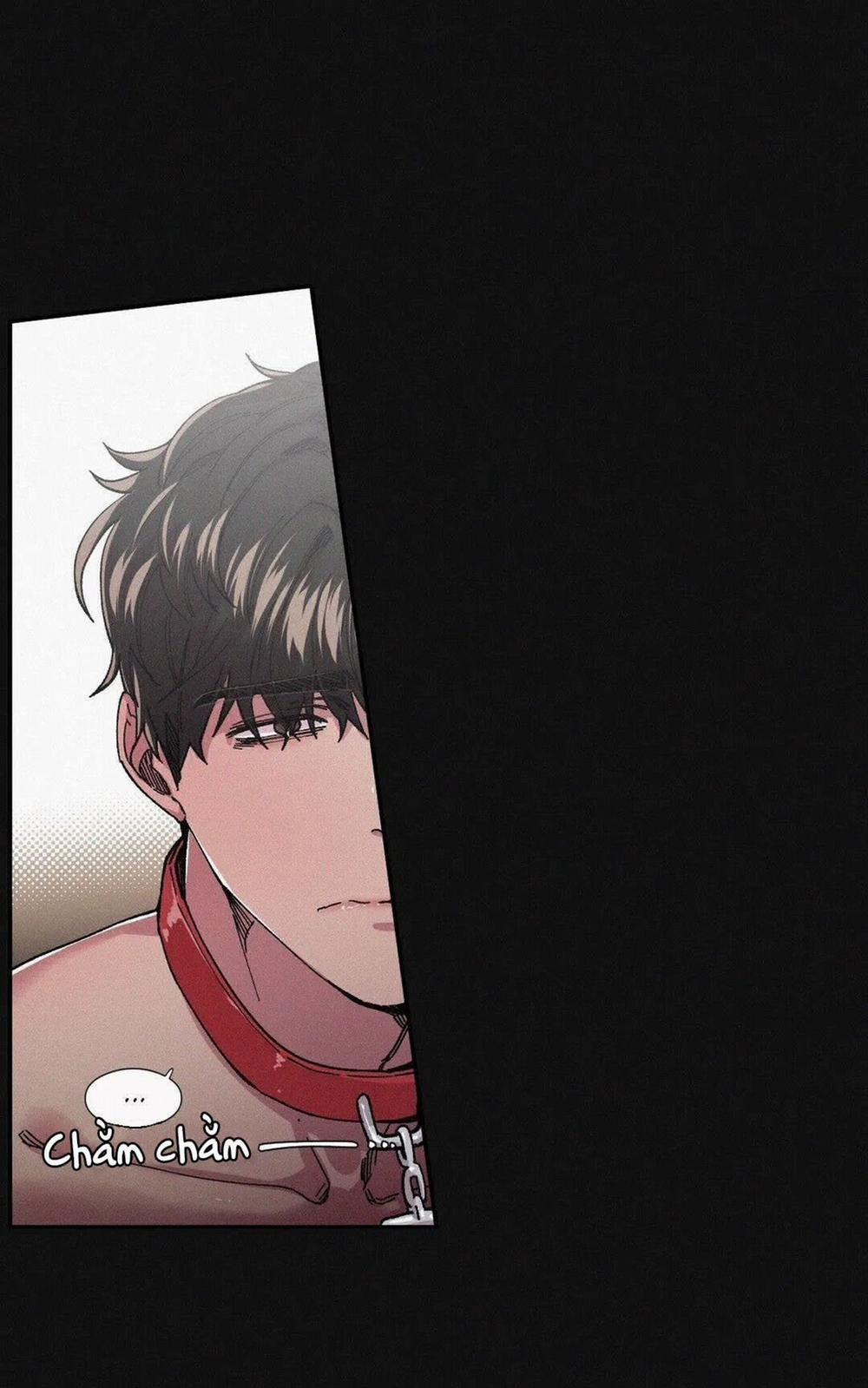 S_Flower 39.1 trang 12