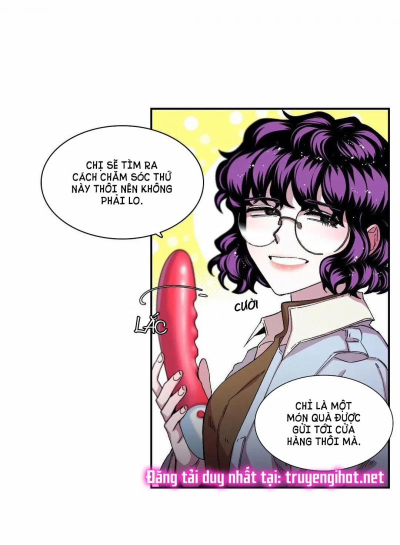 S_Flower 51 trang 13