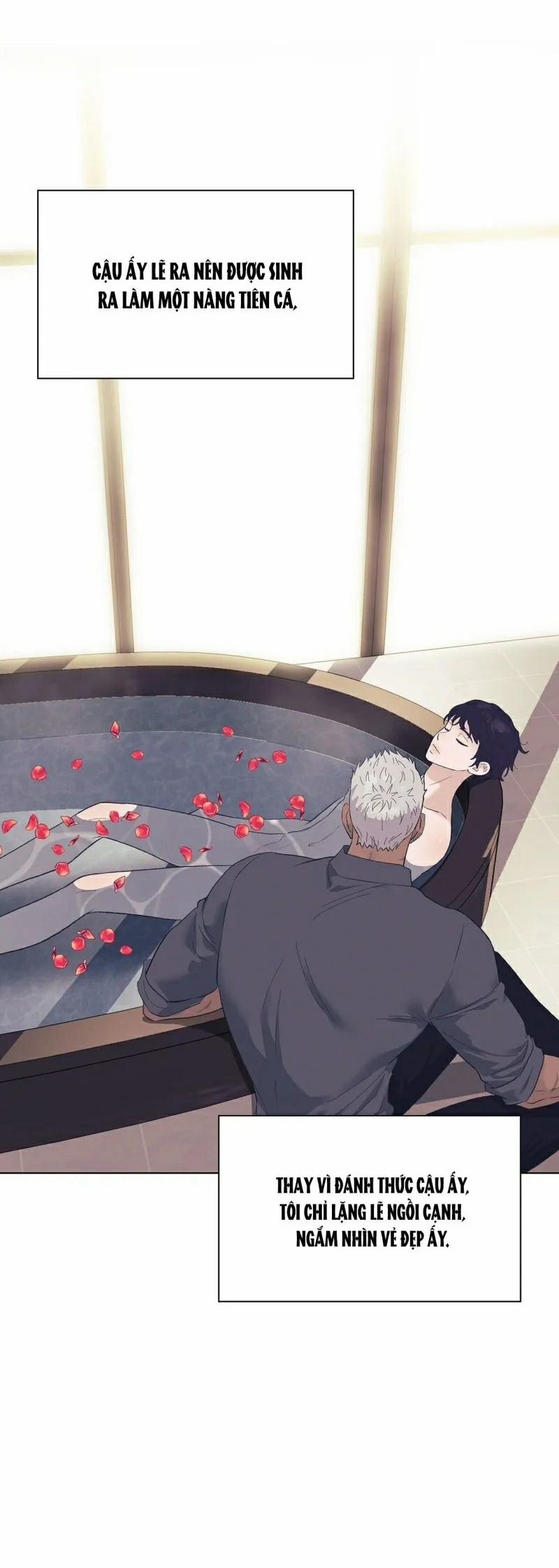 Sa Mạc Ẩm Thấp 27 trang 17