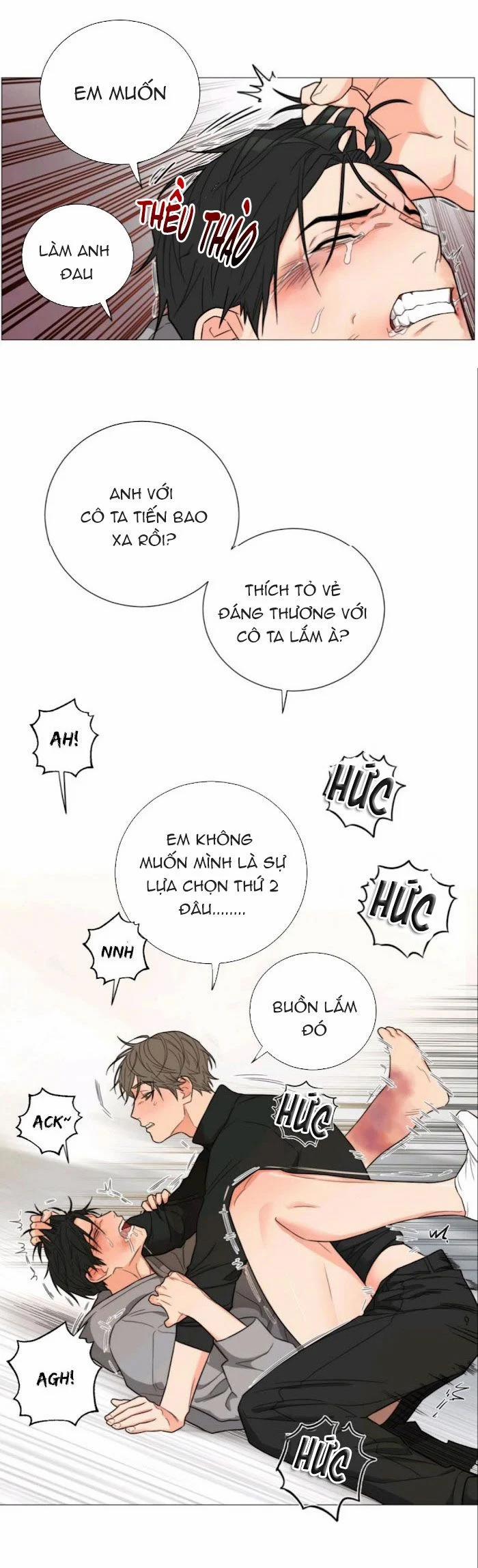Sadistic Beauty Bl Sidestory 2.2 trang 0