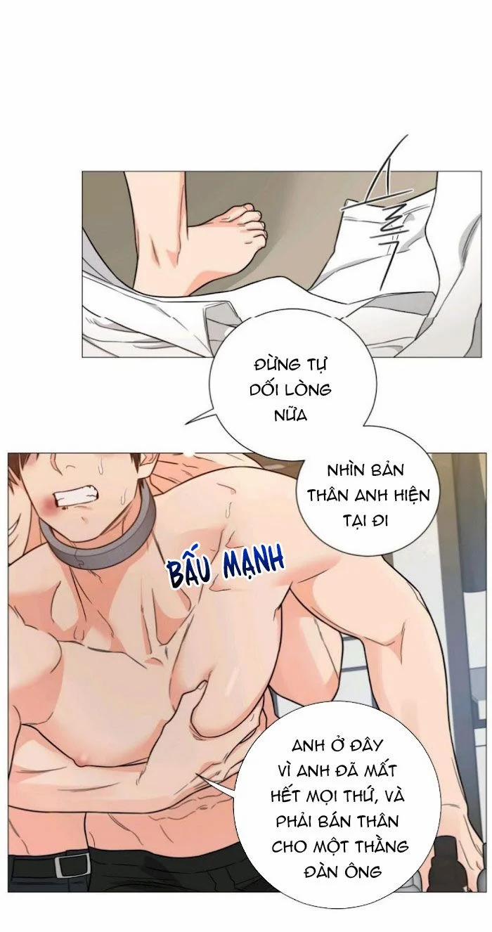 Sadistic Beauty Bl Sidestory 5.1 trang 17