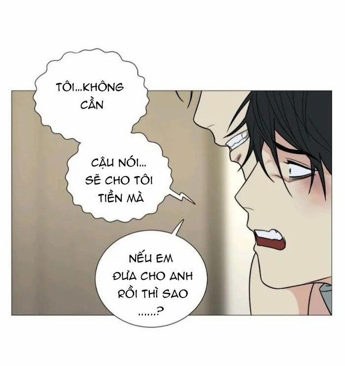 Sadistic Beauty Bl Sidestory 5.1 trang 19