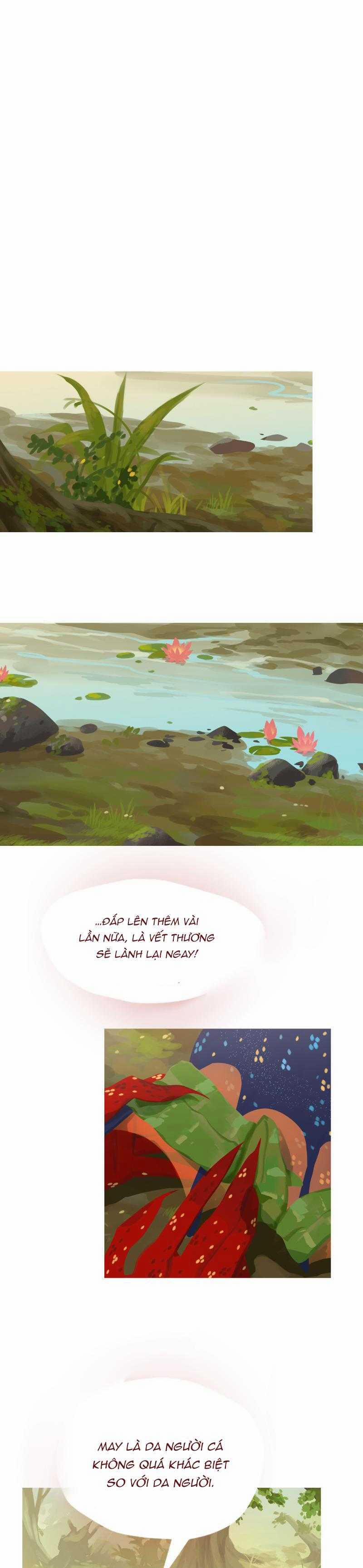 Sải Dài Cứu Rỗi 26 trang 7