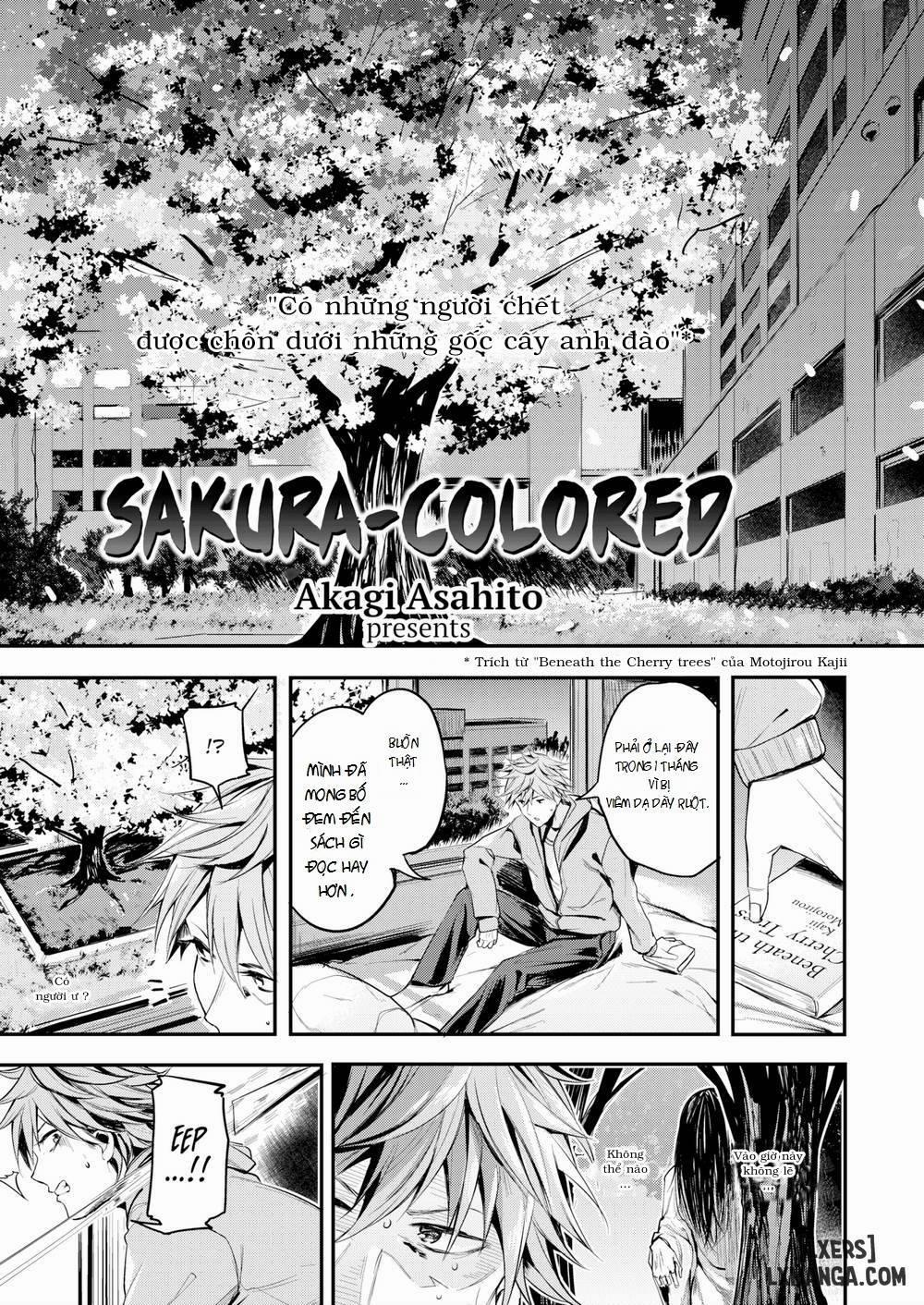 Sakura-Colored Oneshot trang 4