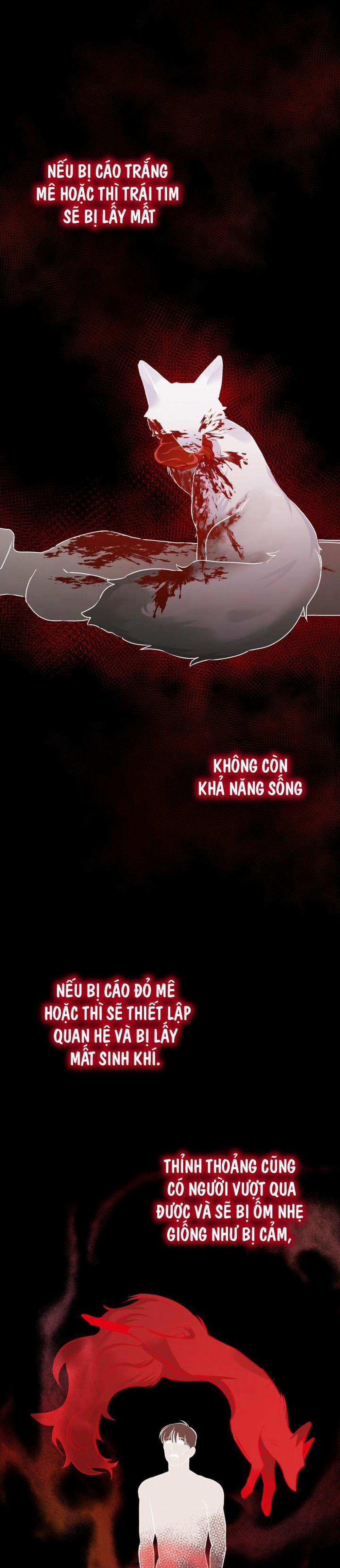 Săn Cáo 2 trang 1