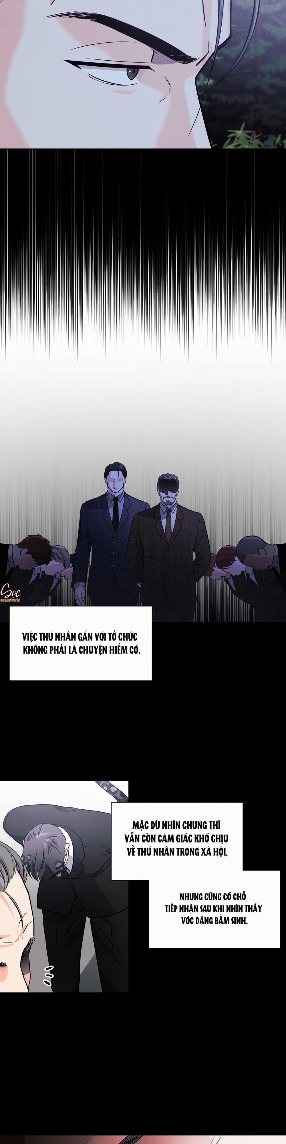 SAO EM DỄ THƯƠNG VẬY 11 trang 5