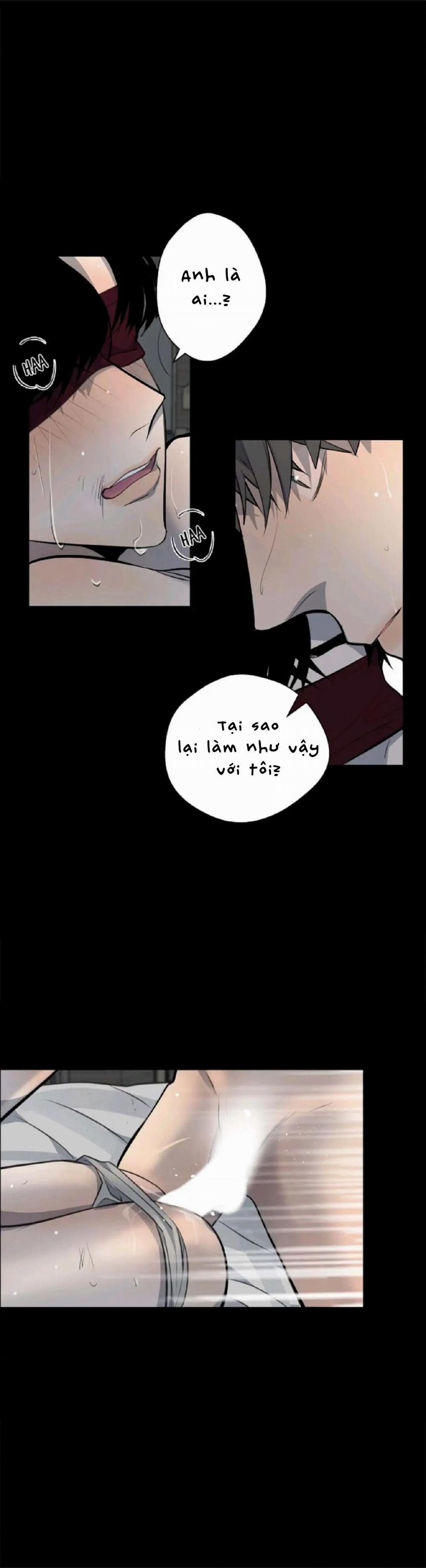 Sao NOTP Lại Thành Thật Rồi? 13 trang 17