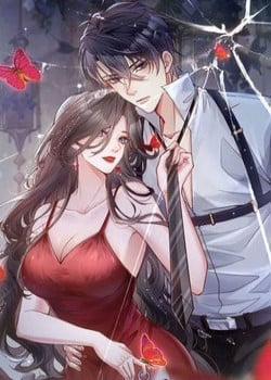 Đọc truyện Sát Thủ Bướm, 
