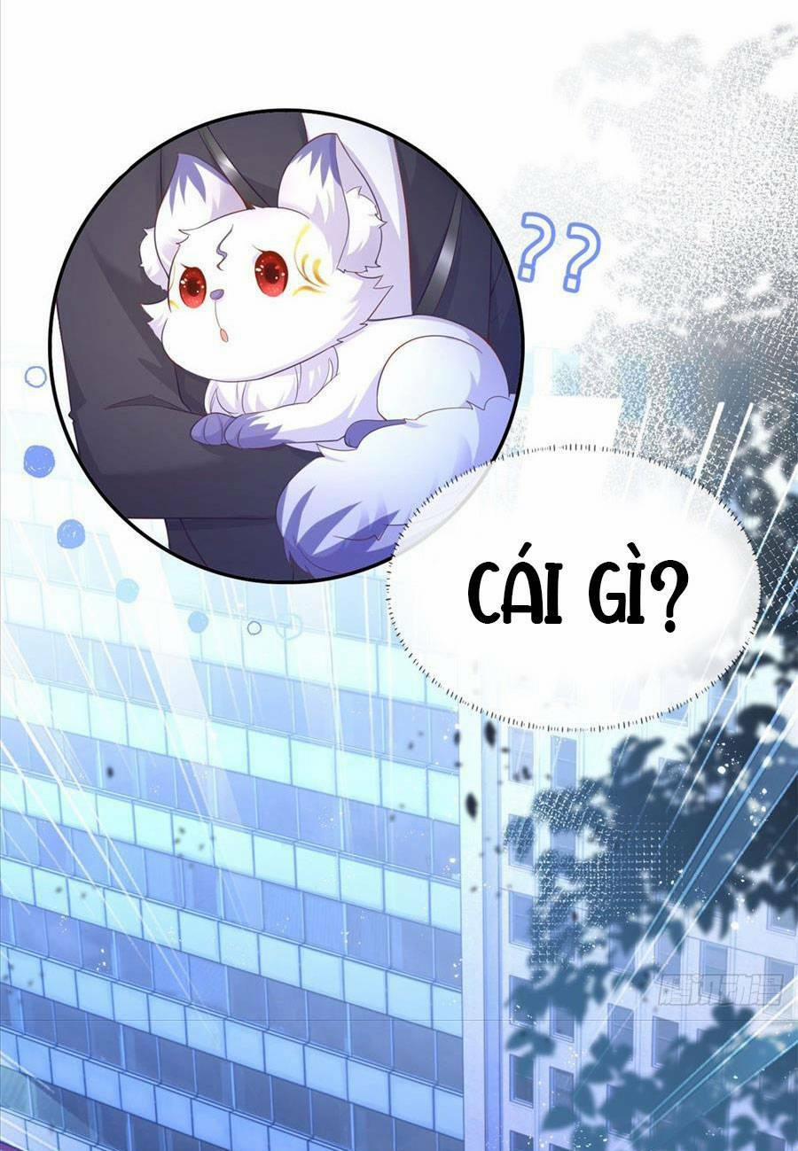 Sát Thủ Đại Nhân Tại Tuyến Dưỡng Hồ 0 trang 5