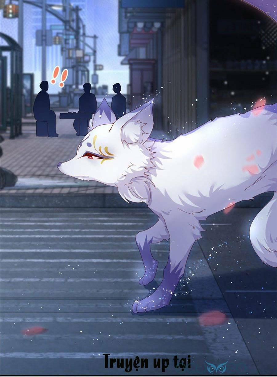 Sát Thủ Đại Nhân Tại Tuyến Dưỡng Hồ 1 trang 14