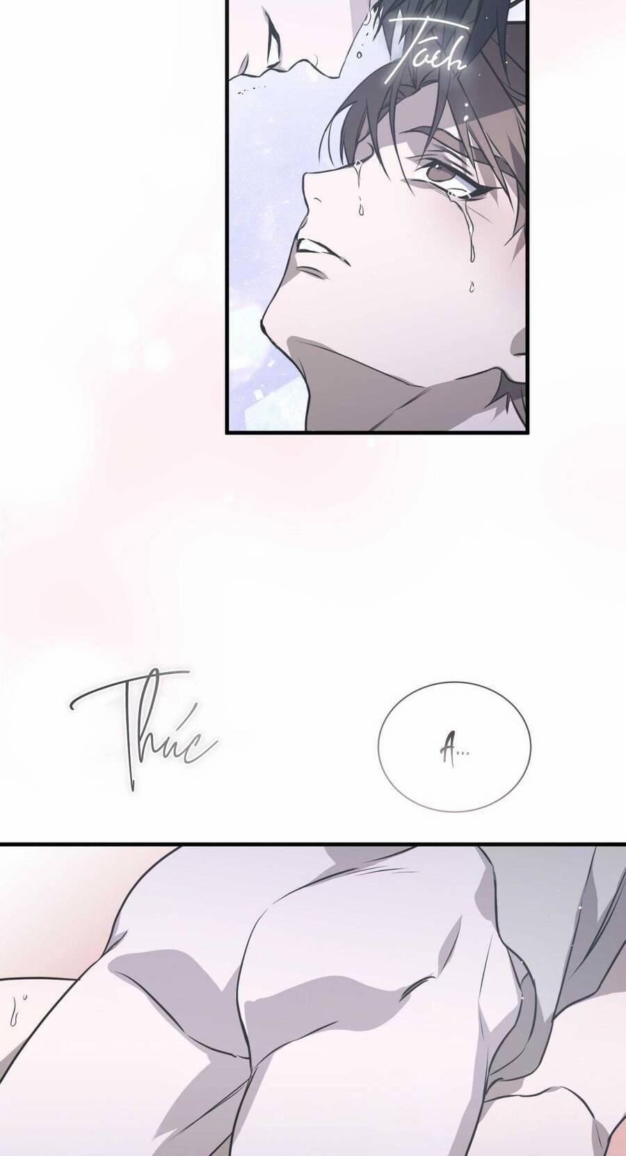 Sau Ánh Hào Quang 20 trang 33