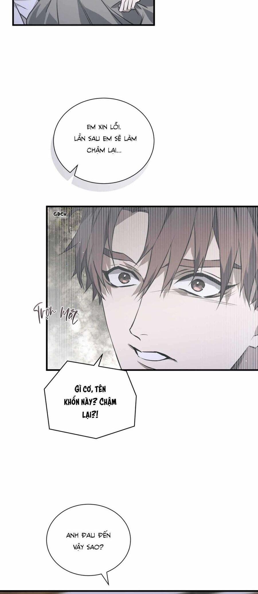 Sau Ánh Hào Quang 21 trang 9