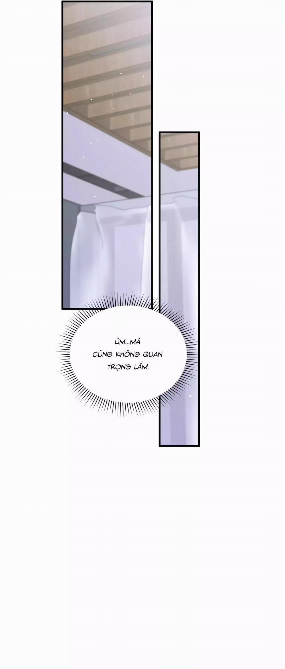 Sau Ánh Hào Quang 28 trang 3