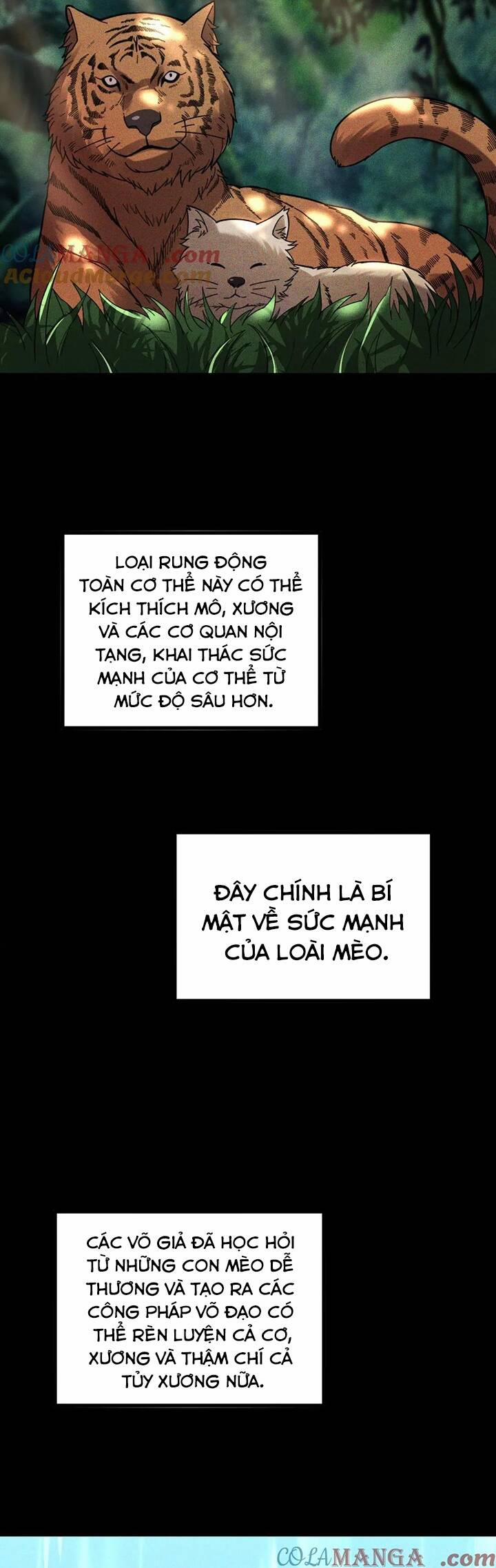 Sau Khi Chết, Ta Trở Thành Võ Đạo Thiên Ma 26 trang 4
