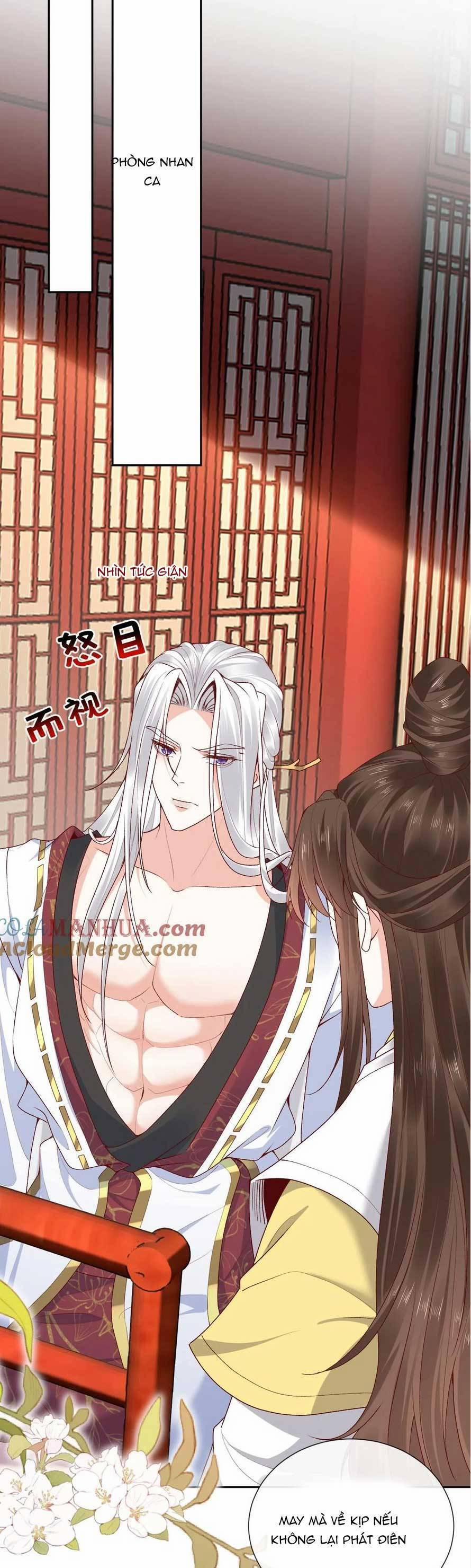 Sau Khi Không Ngừng Tìm Đường Chết, Ta Trở Thành Đế Tôn Vạn Người Mê 175 trang 13