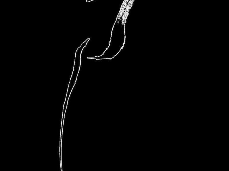 Sau Khi Mở Mắt, Đệ Tử Của Ta Thành Nữ Đế Đại Ma Đầu 36 trang 63