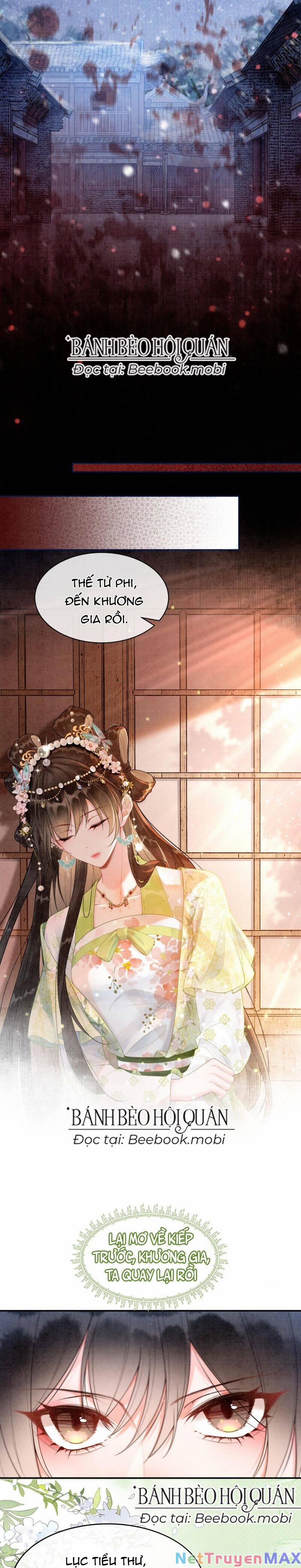 Sau Khi Nàng Bị Đánh Chết, Các Anh Trai Đều Hối Hận! 3 trang 4