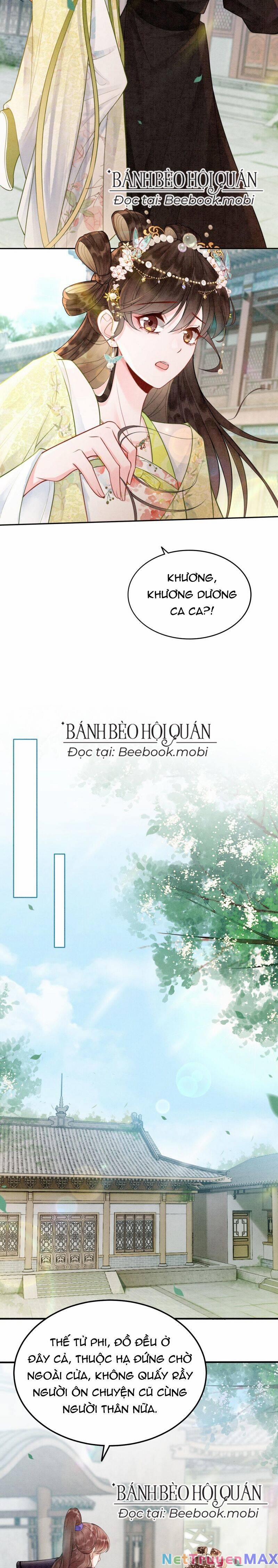 Sau Khi Nàng Bị Đánh Chết, Các Anh Trai Đều Hối Hận! 6 trang 5