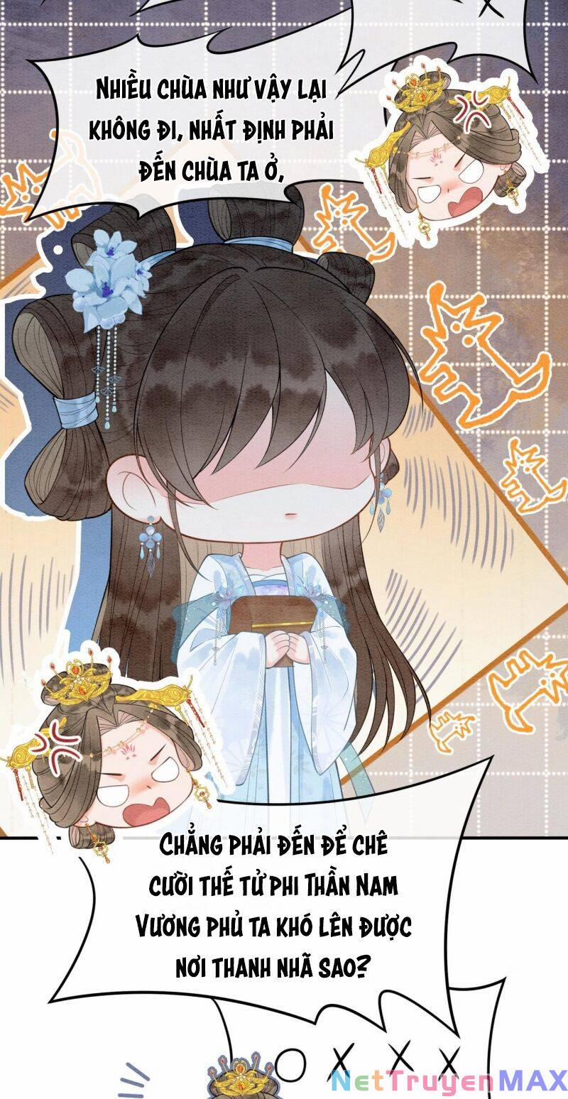 Sau Khi Nàng Bị Đánh Chết, Các Anh Trai Đều Hối Hận! 7 trang 16