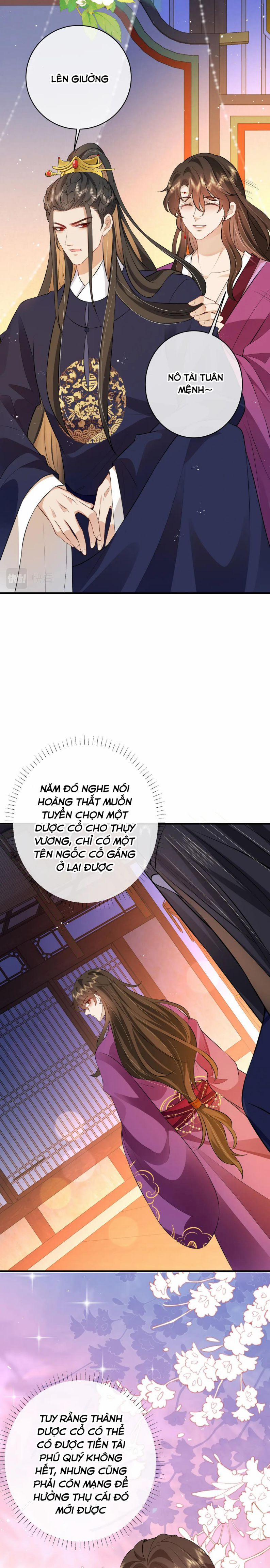 Sau Khi Ta Chết, Vương Gia Đau Không Thiết Sống 11 trang 7