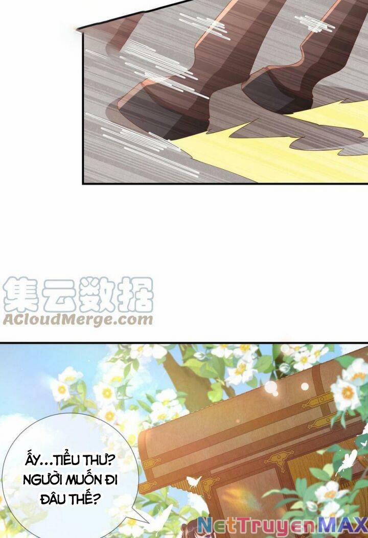 Sau Khi Xuyên Sách, 5 Nhân Cách Của Bạo Quân Đều Yêu Ta 1 trang 16