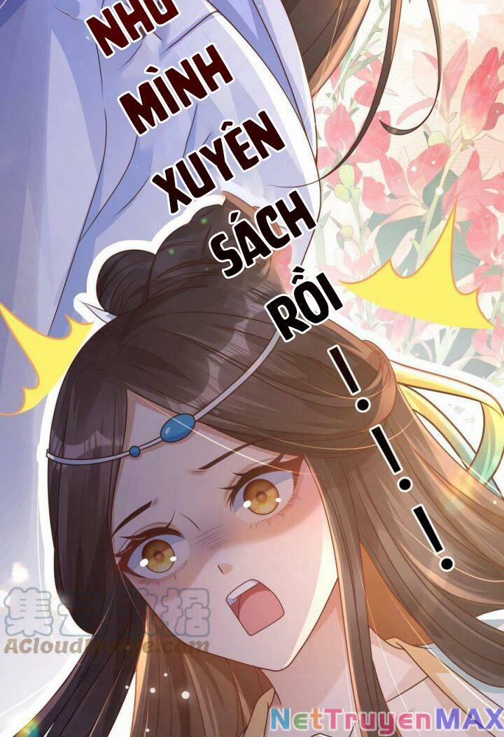 Sau Khi Xuyên Sách, 5 Nhân Cách Của Bạo Quân Đều Yêu Ta 1 trang 6