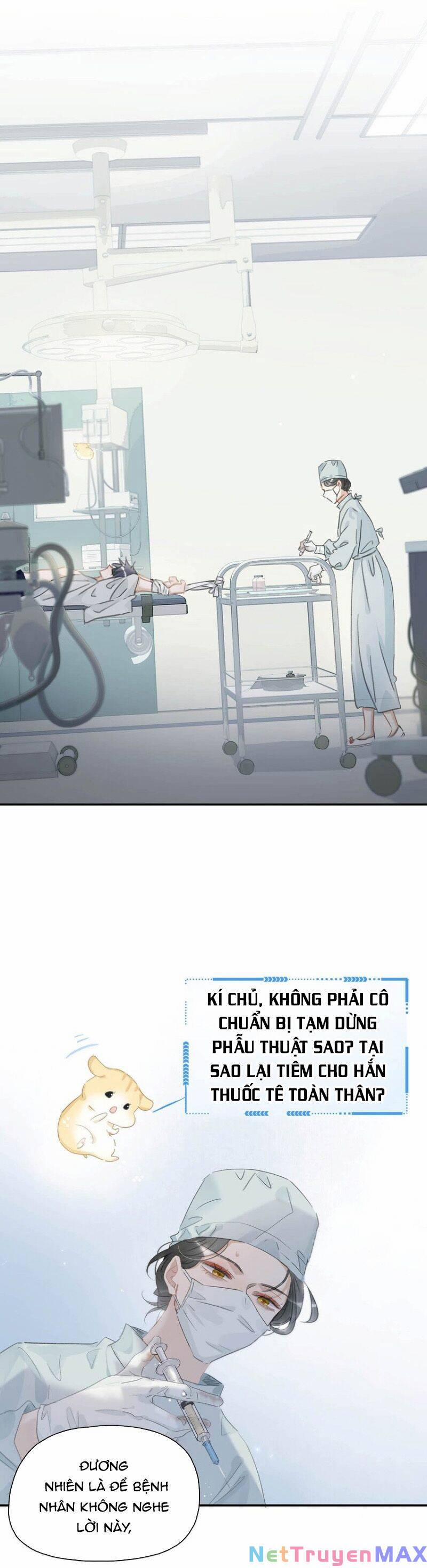 Sau Khi Xuyên Sách, 5 Nhân Cách Của Bạo Quân Đều Yêu Ta 12 trang 11