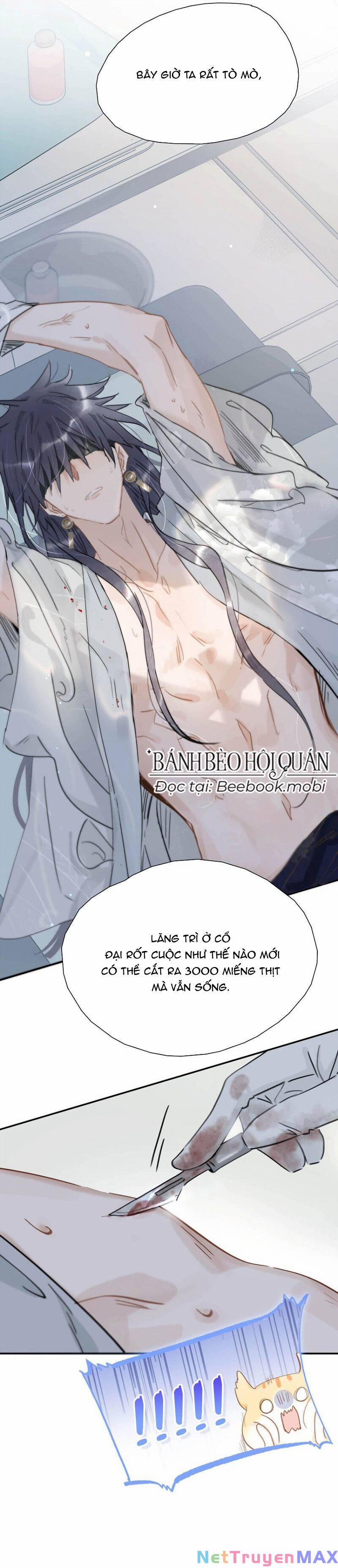 Sau Khi Xuyên Sách, 5 Nhân Cách Của Bạo Quân Đều Yêu Ta 12 trang 8