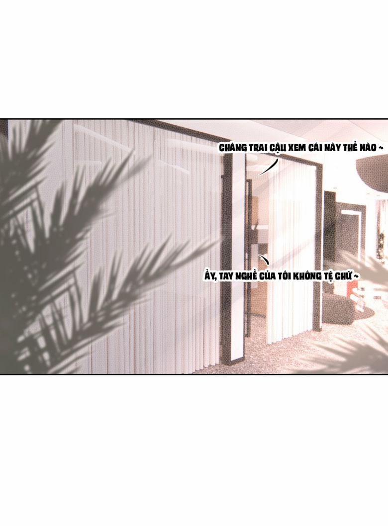 Sau Khi Xuyên Thành Pháo Hôi Tôi Chỉ Muốn Ly Hôn 18 trang 21