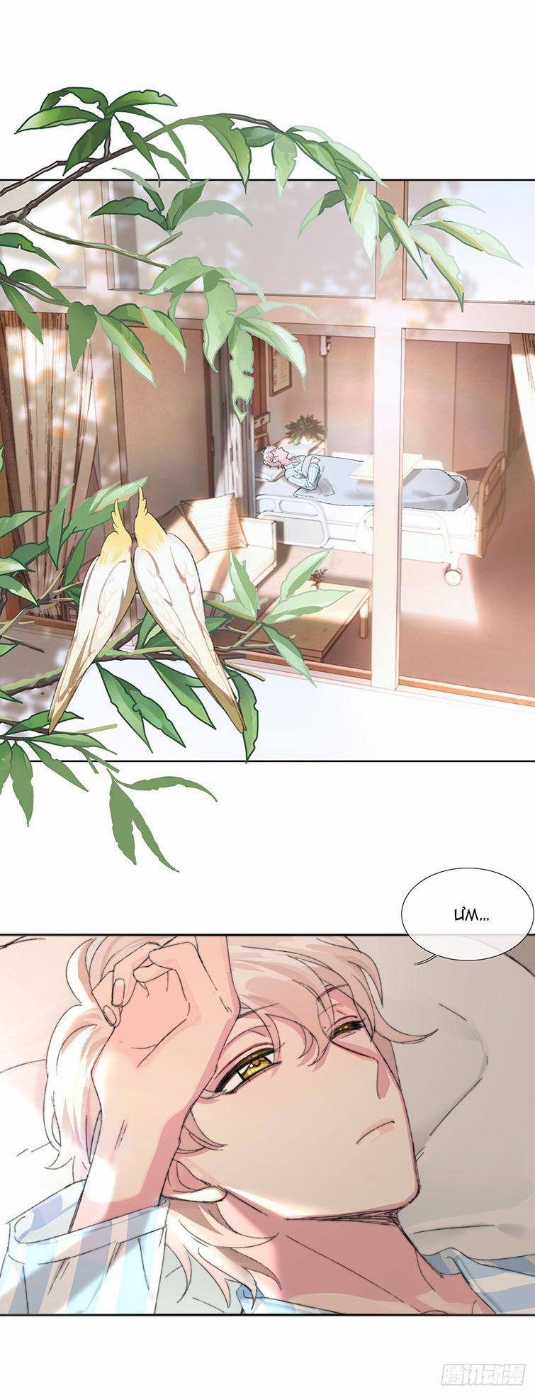 Sau Khi Xuyên Thành Pháo Hôi Tôi Chỉ Muốn Ly Hôn Văn Án trang 2