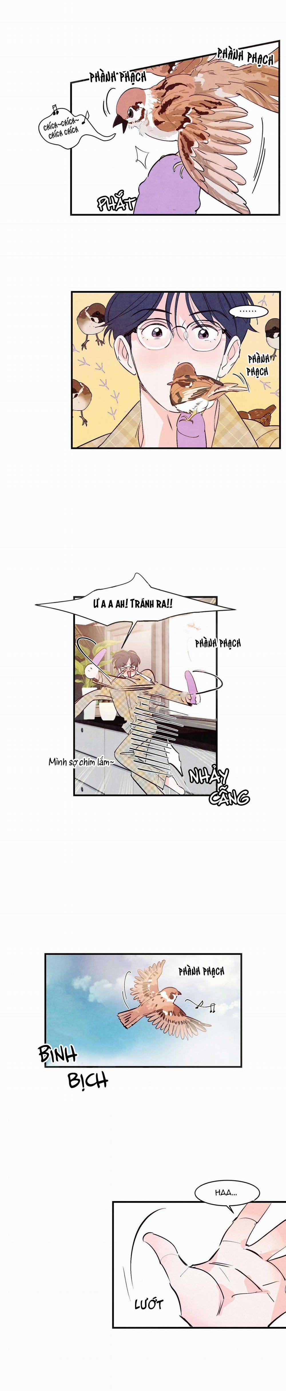 Say Tình 14 trang 2