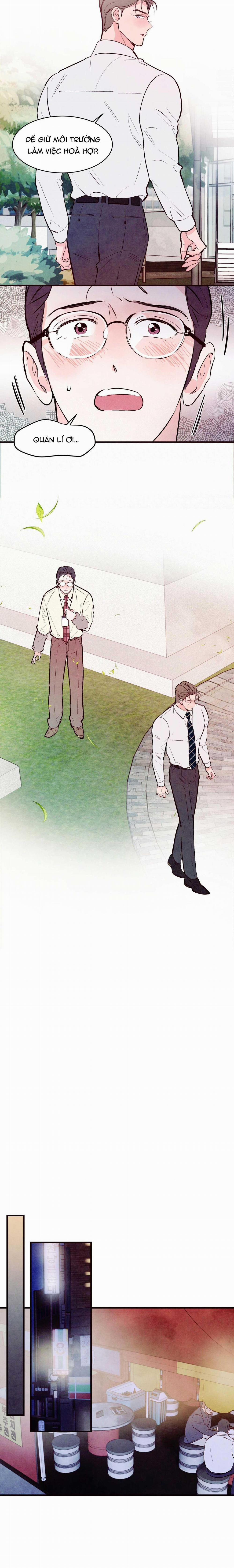 Say Tình 21 trang 11