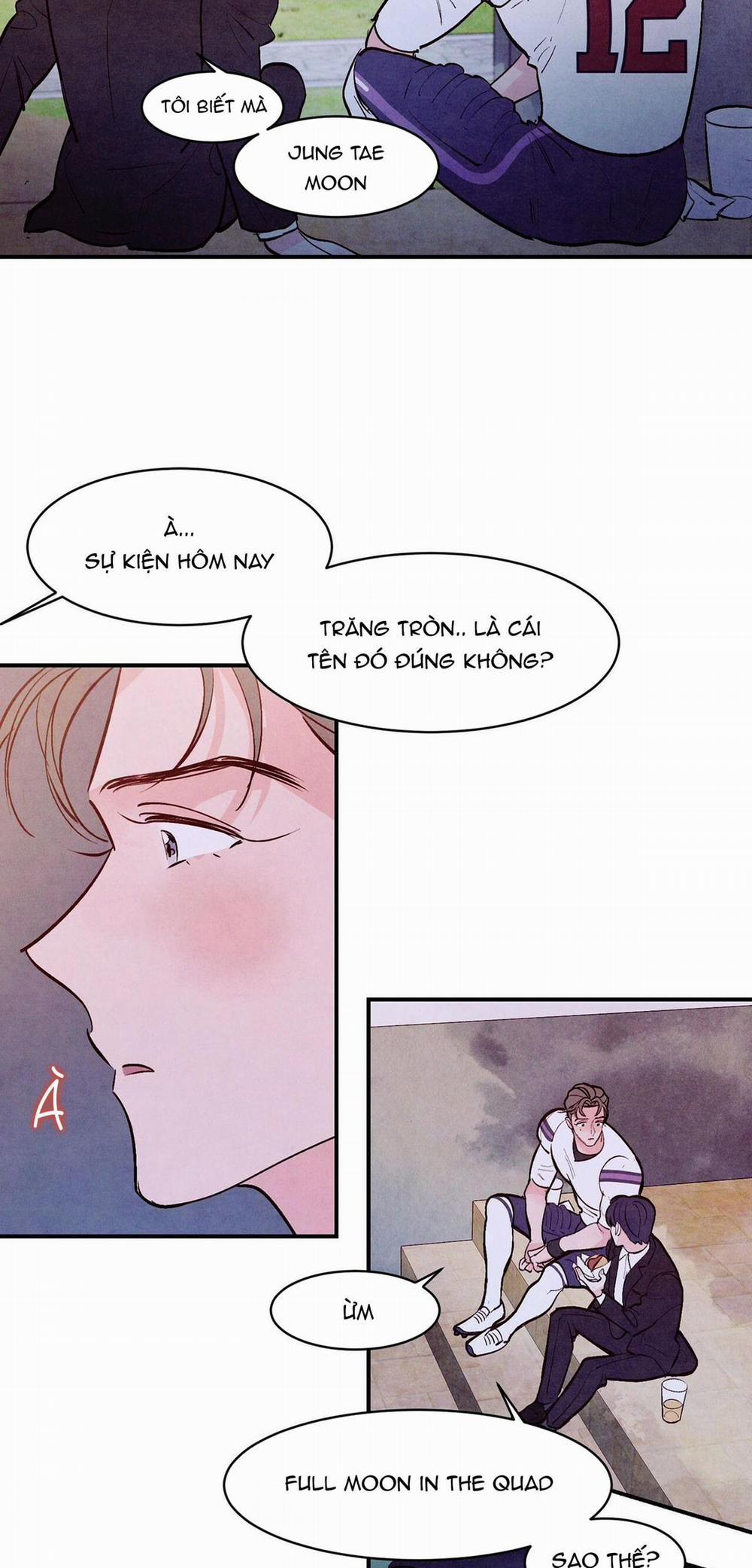 Say Tình 29 trang 19