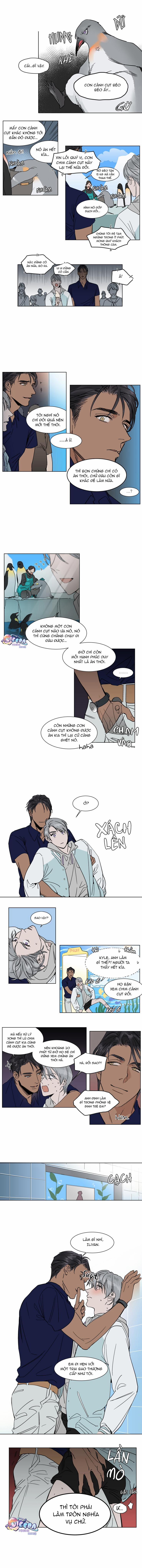 Scandal Đời Tư 11 trang 5