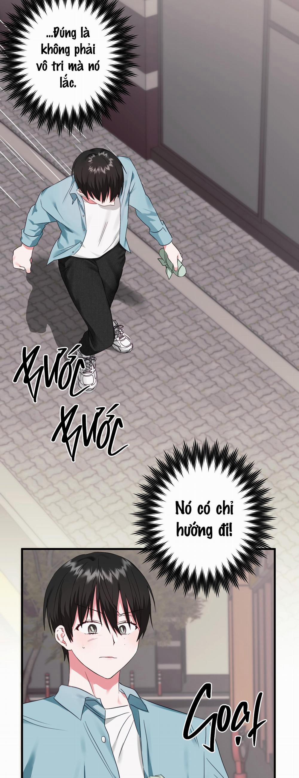 Sẽ thêm chim vào sớm thôi! 2 trang 30