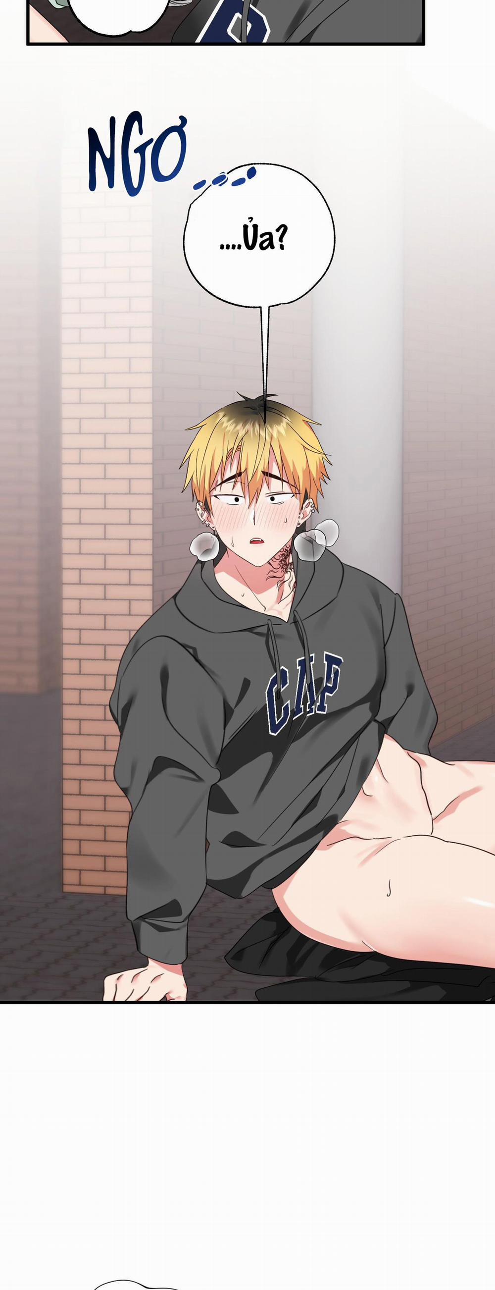 Sẽ thêm chim vào sớm thôi! 2 trang 35