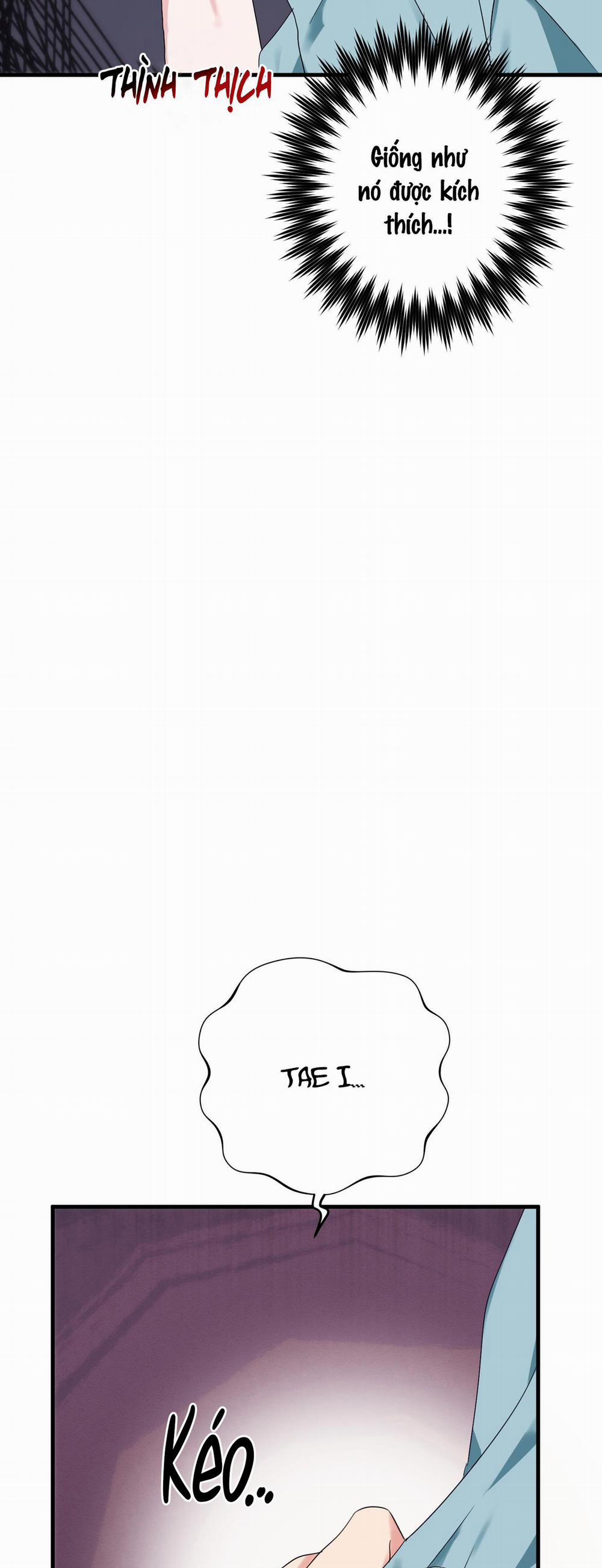 Sẽ thêm chim vào sớm thôi! 2 trang 43