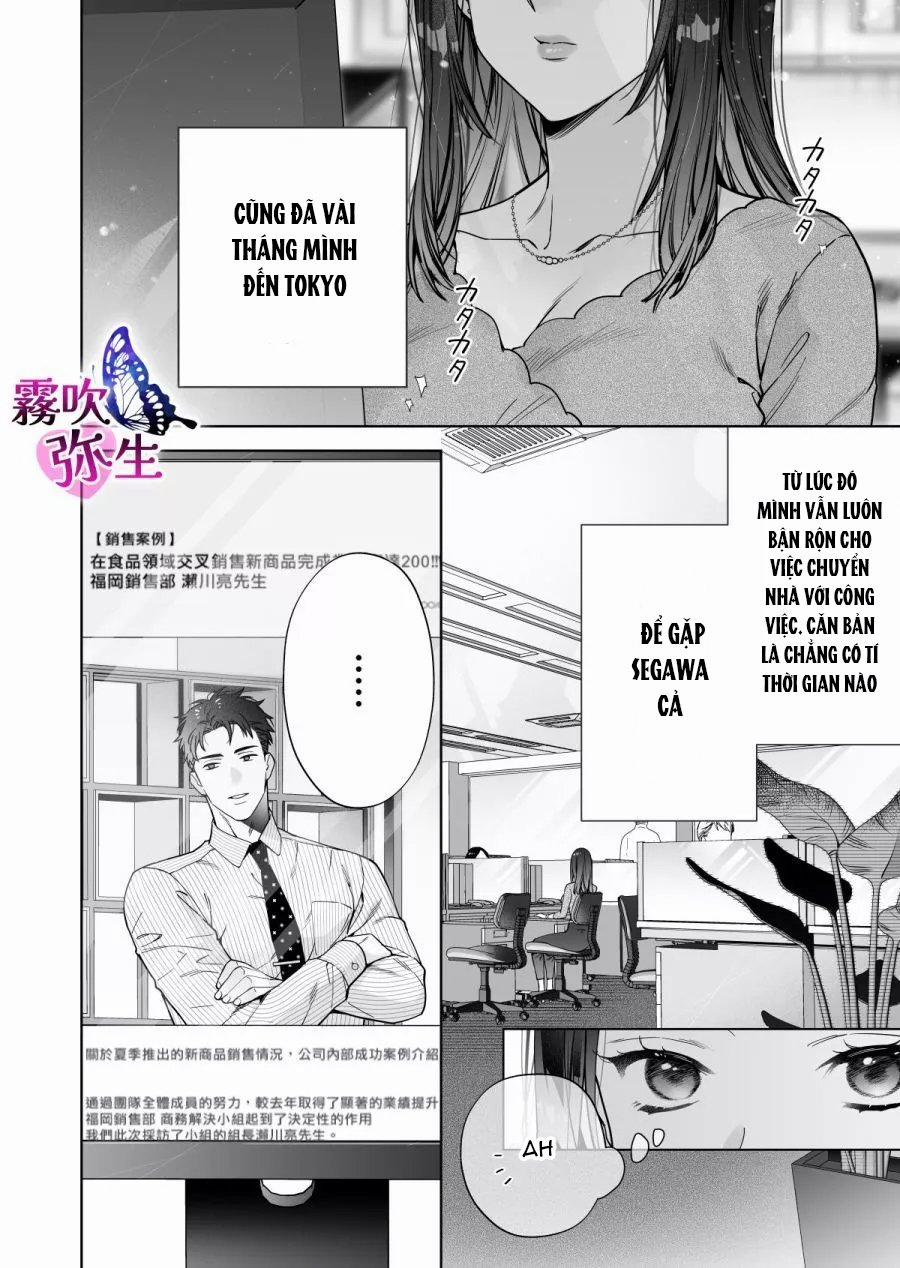 Segawa-San Muốn Yêu Đương Nghiêm Túc Với Tôi 4.2 trang 6