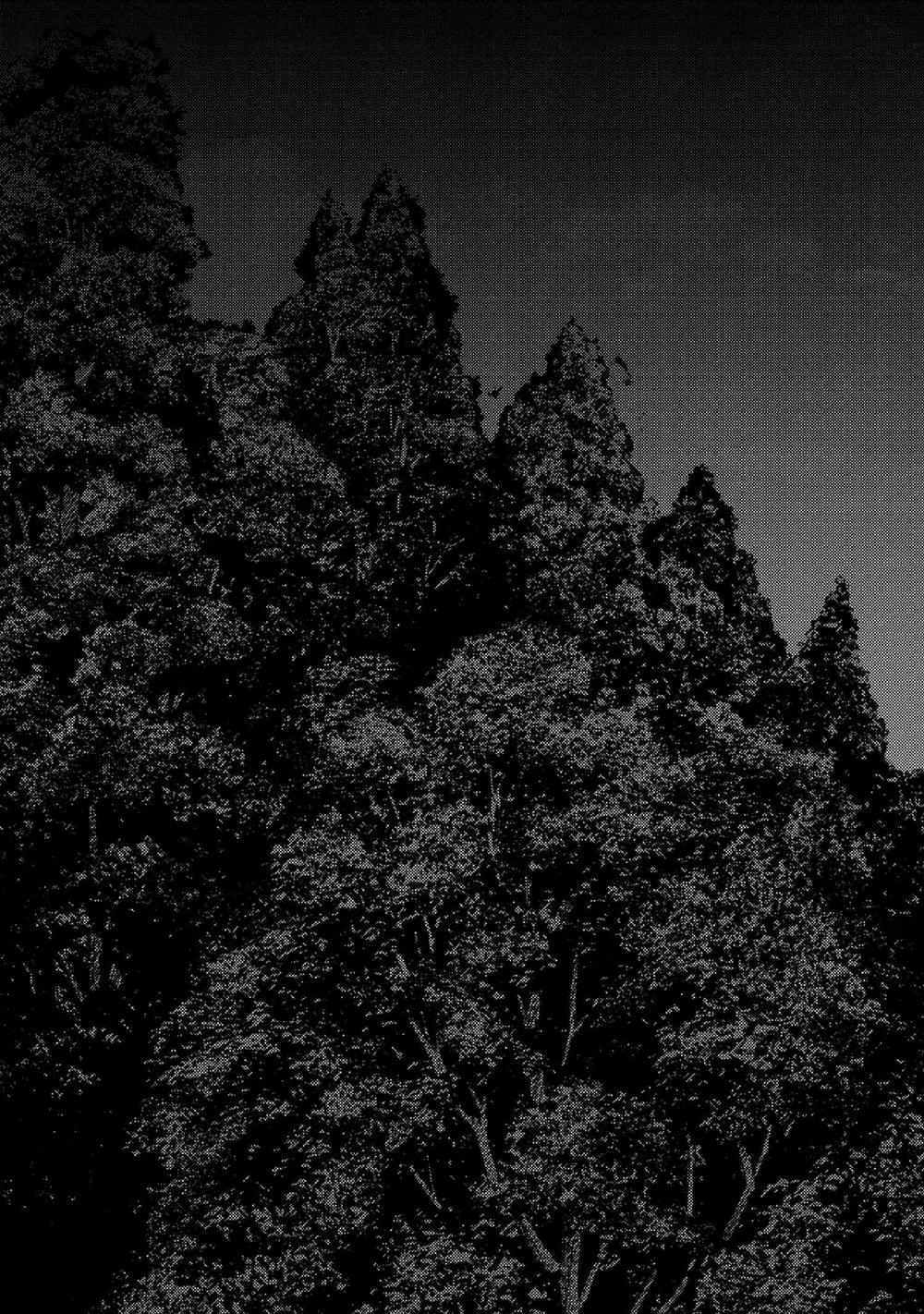 Sekai Saikō No Asashin, Isekai Kizoku Ni Tensei Suru 9.2 trang 7