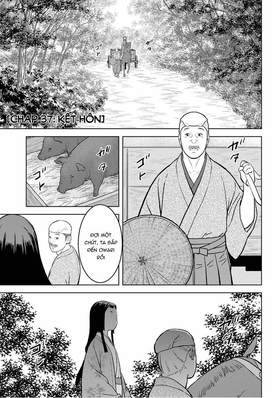 Sengoku Komachi Kurou Tan! 37 trang 0
