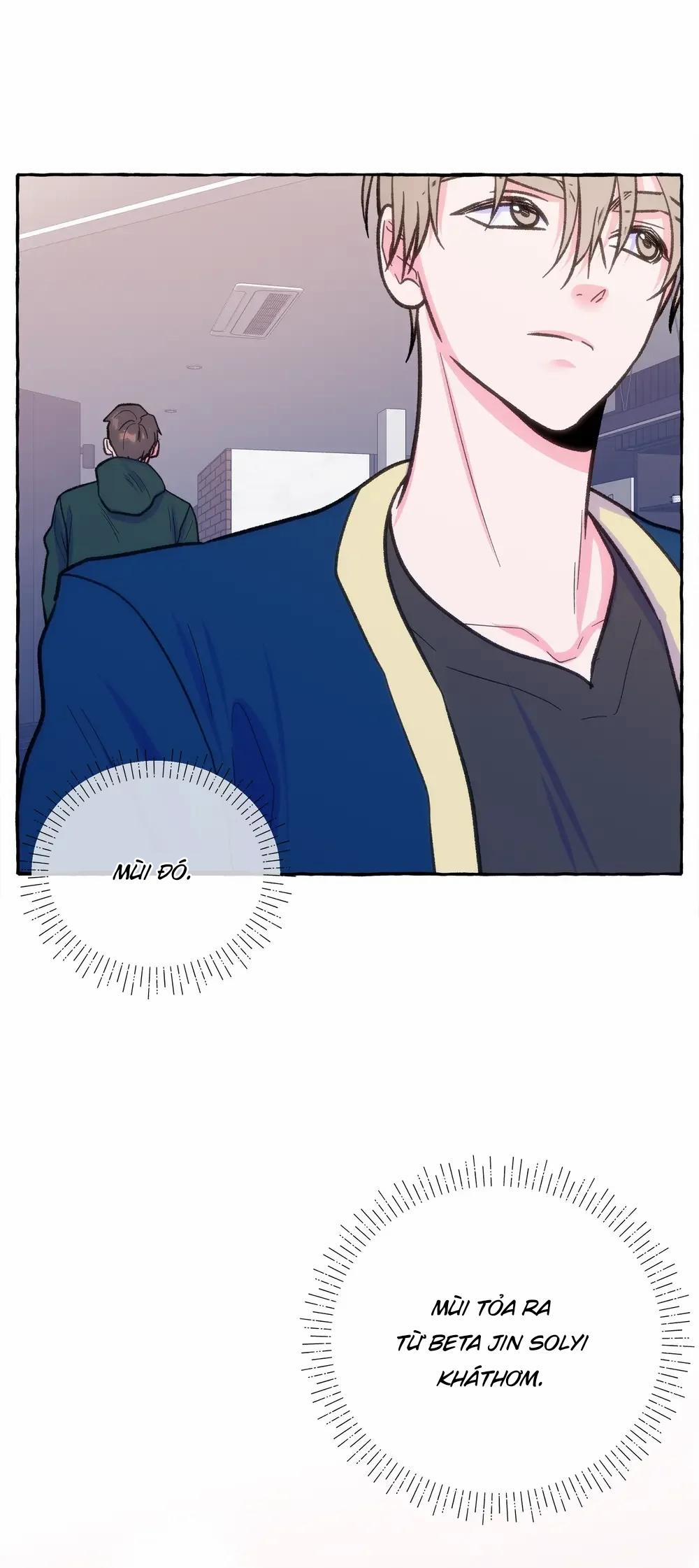 Seollo 8 0 8 trang 5