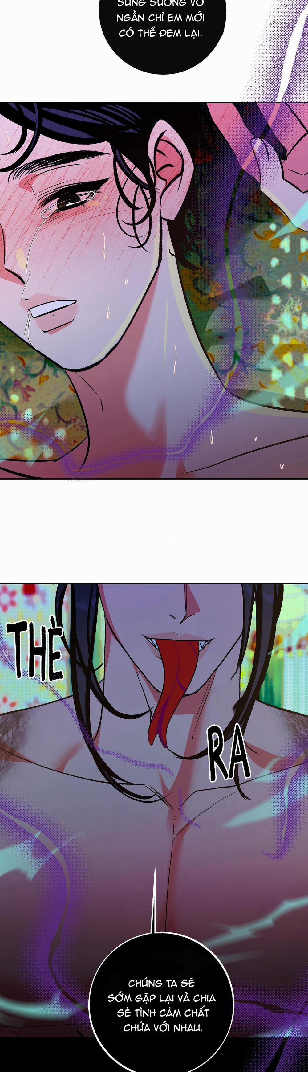 Series Back Stage 6.3 trang 23