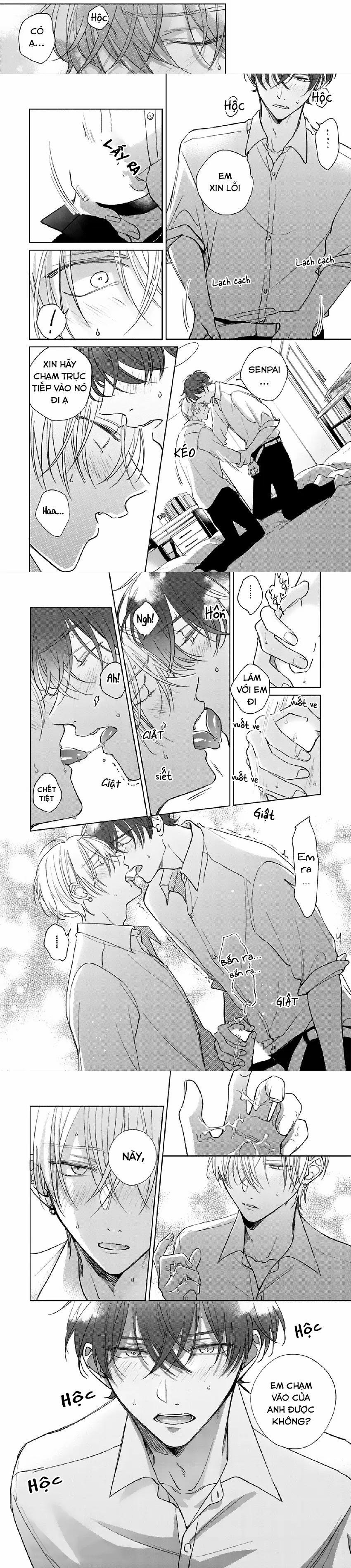 Seventeen Syrups 4 trang 5