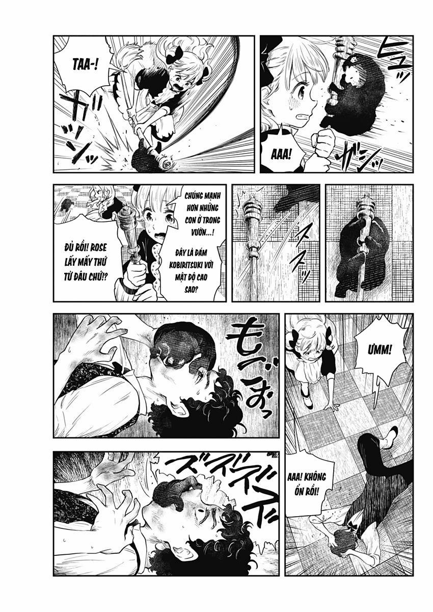 Shadow House 55 trang 3